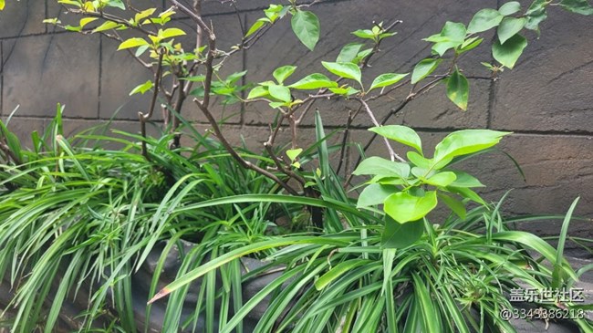 【那年初秋】小巷子