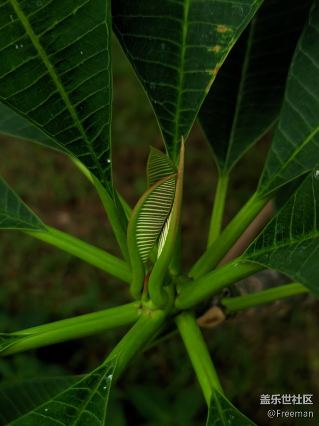 【長(zhǎng)焦距下的城市之美】不同角度看城市