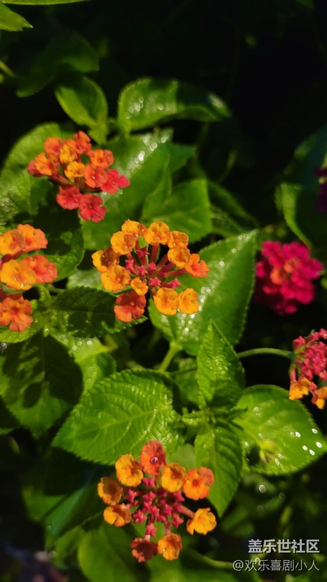 #我喜歡的攝影模式——夜拍模式