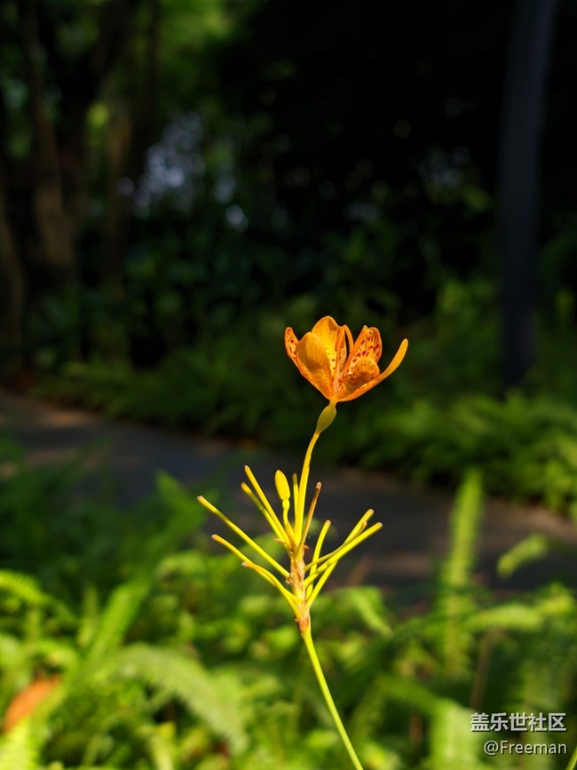 【長(zhǎng)焦距下的城市之美】不同角度看城市