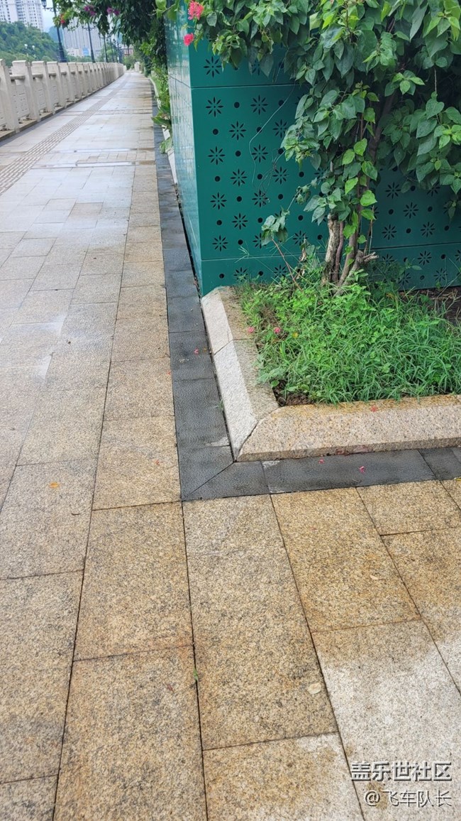 【街景】綠化道