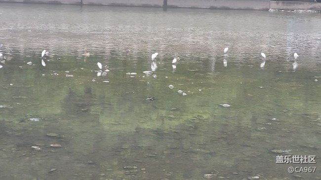 #我喜歡的攝影模式——長(zhǎng)焦模式