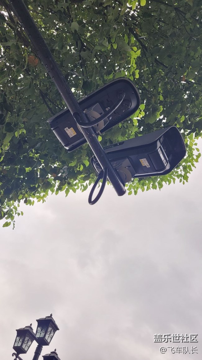 【街景】綠化道