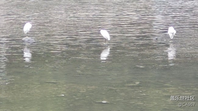 #我喜歡的攝影模式——長(zhǎng)焦模式