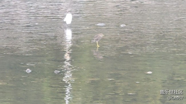 #我喜歡的攝影模式——長(zhǎng)焦模式