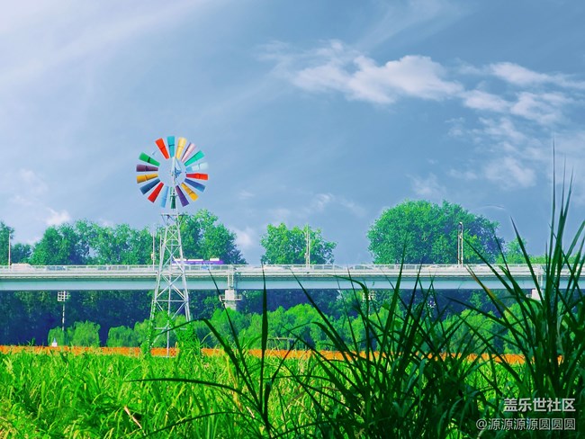 【漢口江灘】攝影活動 總結(jié)帖