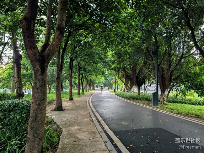 【那年初秋】身心放松 | 思緒開闊