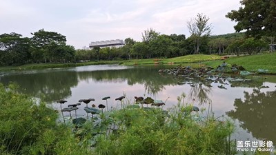 湖光山色共爭(zhēng)秋，一點(diǎn)塵埃無覓處