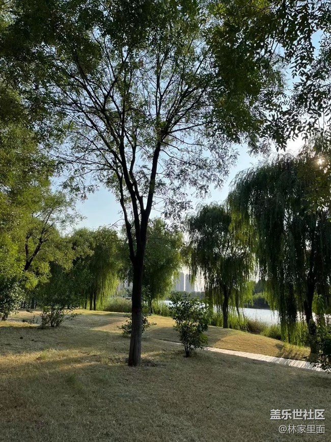 【那年初秋】秋風(fēng)起