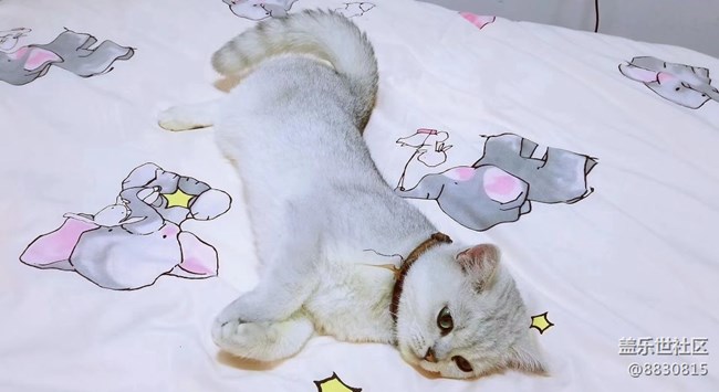 #我喜歡的攝影模式——隨心拍