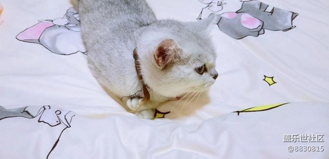 #我喜歡的攝影模式——隨心拍