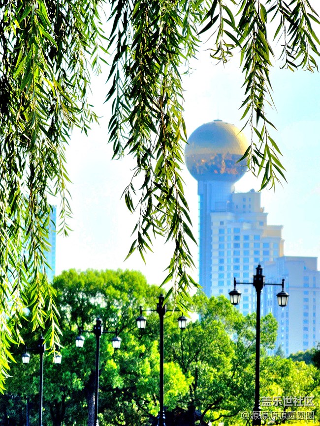 【漢口江灘】攝影活動 總結(jié)帖