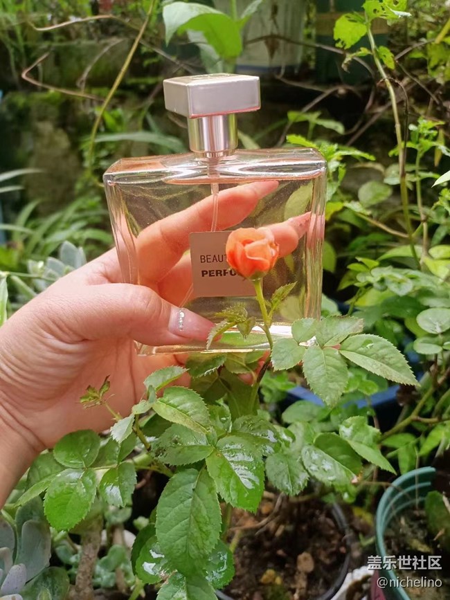 【尋一份美好】七夕禮物