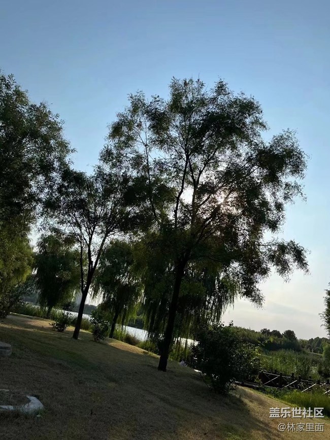 【那年初秋】秋風(fēng)起