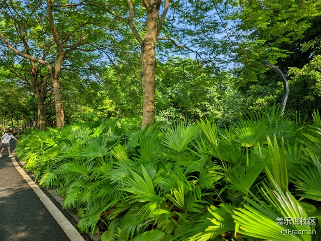 【會(huì)說(shuō)話(huà)的照片】歲月 | 靜好