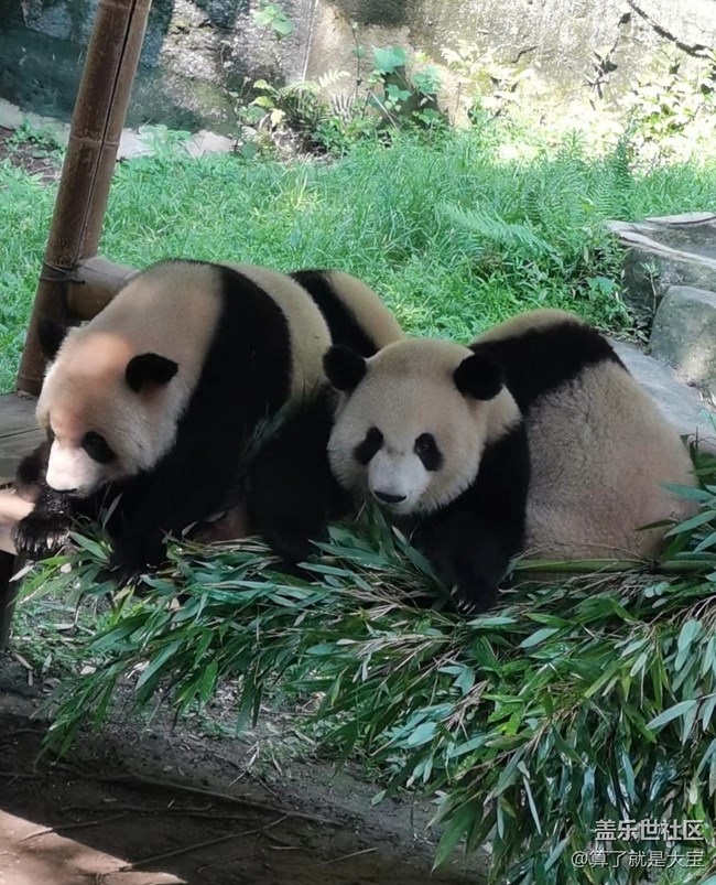 【申請中】重慶星部落 線下攝影活動