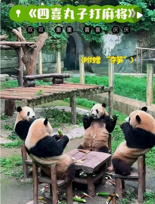 【申請中】重慶星部落 線下攝影活動