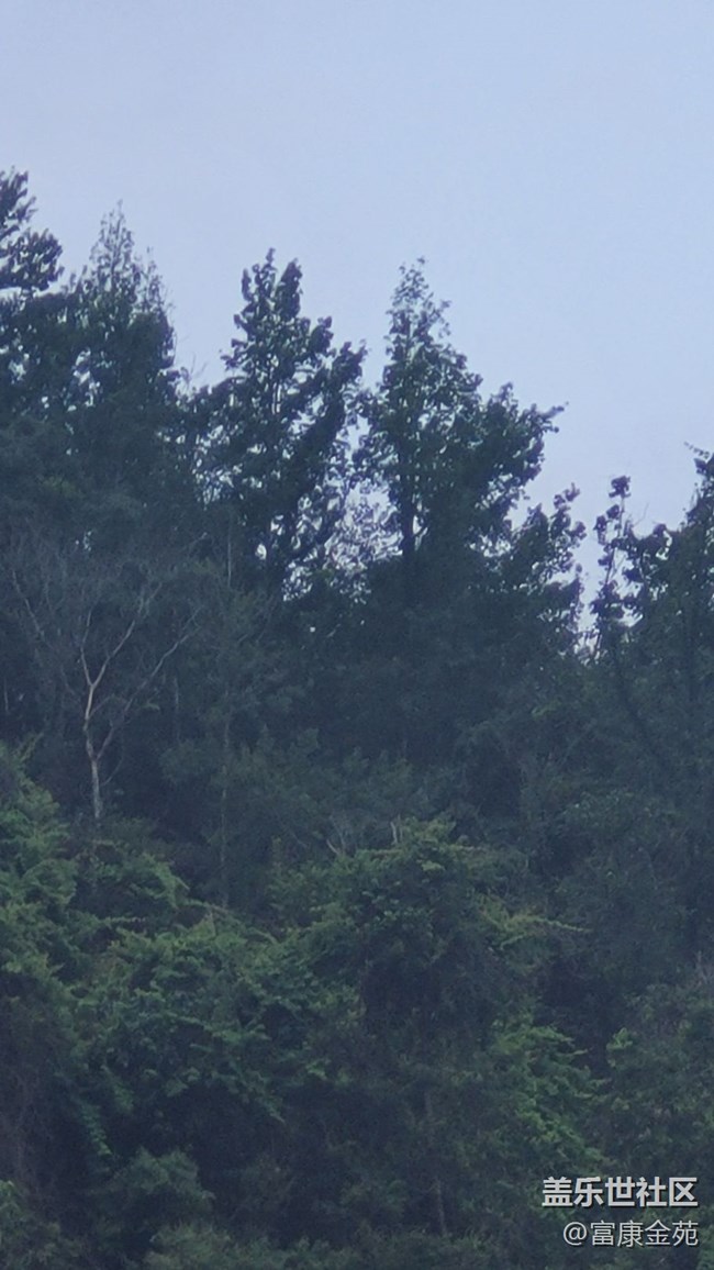 #我喜歡的攝影模式——長(zhǎng)焦模式