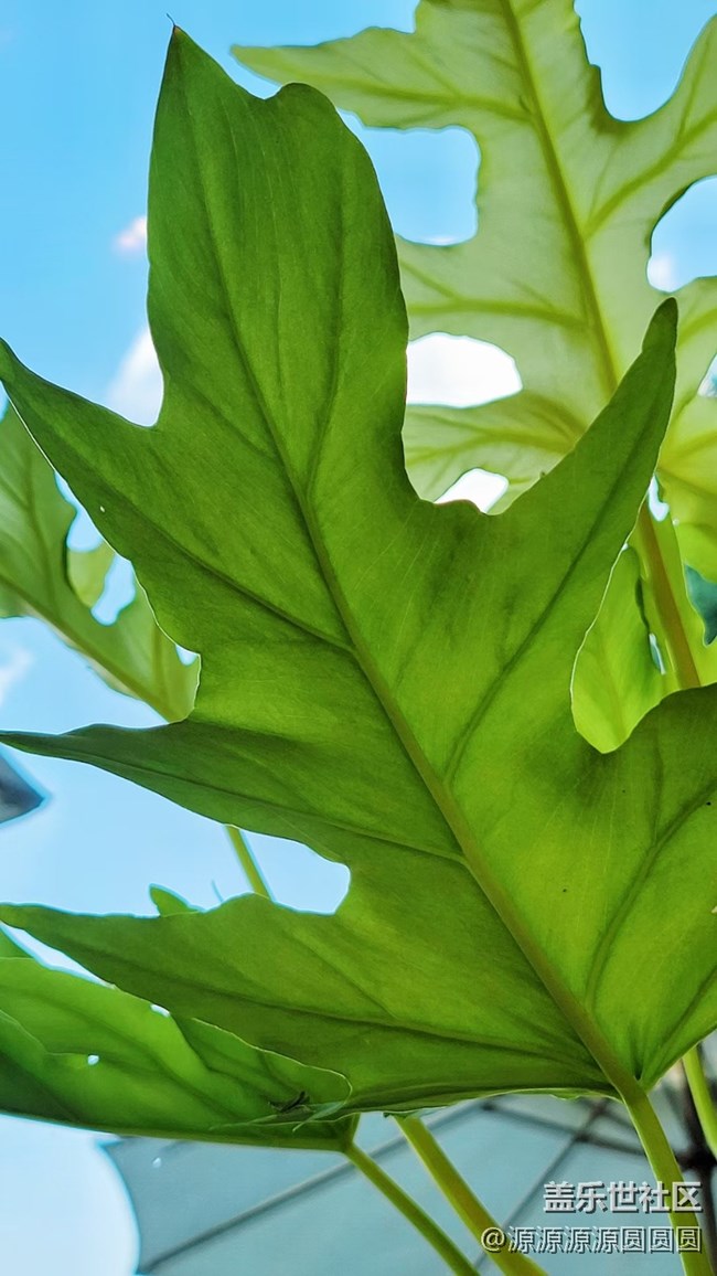 【漢口江灘】攝影活動 總結(jié)帖