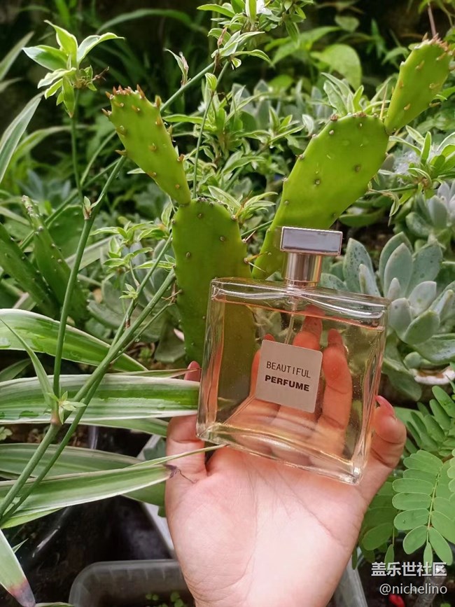 【尋一份美好】七夕禮物