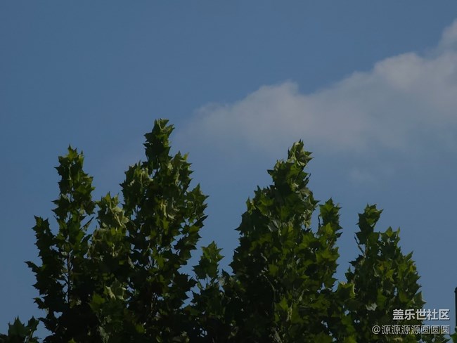 【漢口江灘】攝影活動 總結(jié)帖