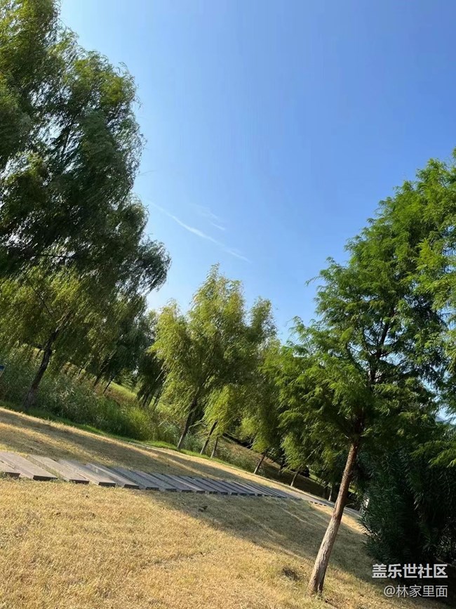 【那年初秋】秋風(fēng)起