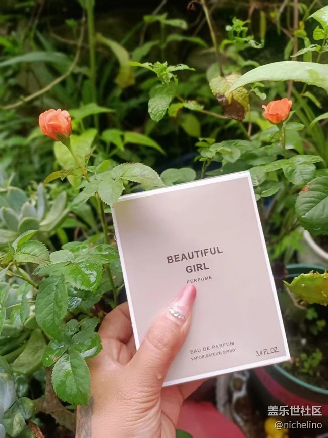 【尋一份美好】七夕禮物