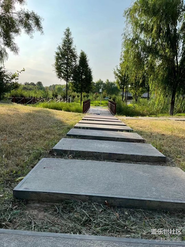 【那年初秋】秋風(fēng)起