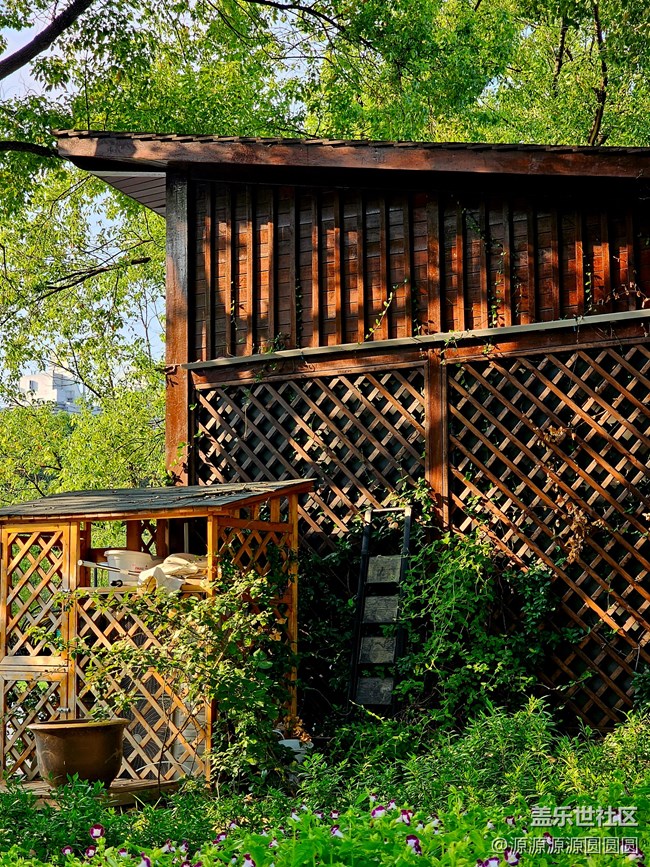 【漢口江灘】攝影活動 總結(jié)帖