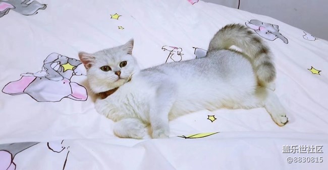 #我喜歡的攝影模式——隨心拍