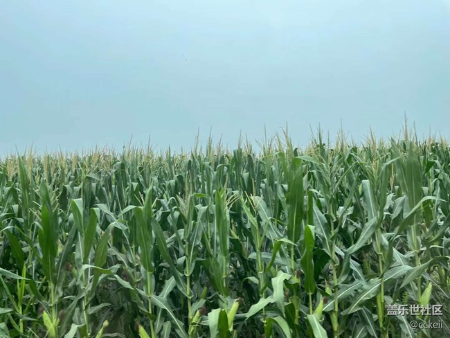 一晚上掉電6-8個