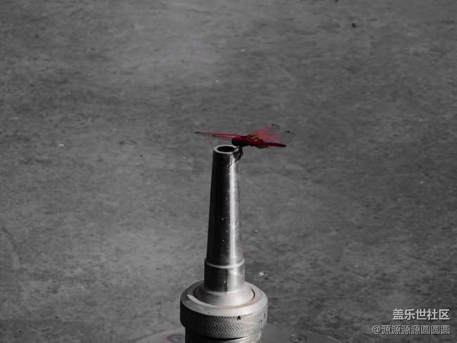 【漢口江灘】攝影活動 總結(jié)帖