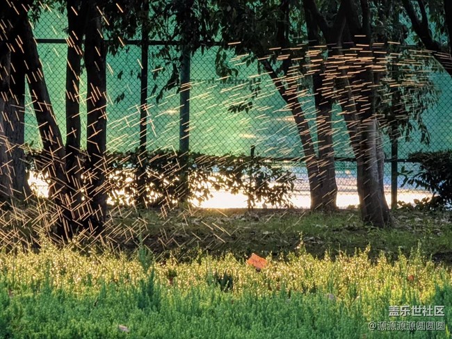 【漢口江灘】攝影活動 總結(jié)帖