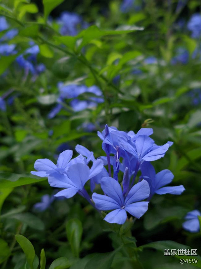 【捕捉身邊的美】自然的魅力