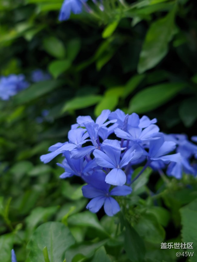 【捕捉身邊的美】自然的魅力