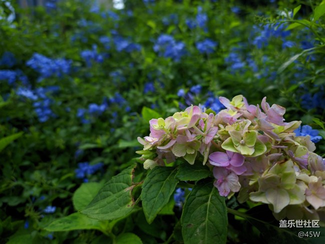 【捕捉身邊的美】自然的魅力