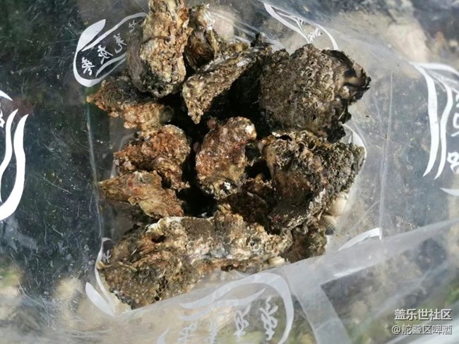 【捕捉夏日美好】趕海的一天