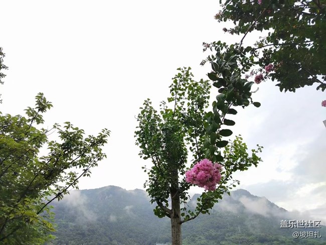 #我喜歡的攝影模式——平常的拍攝