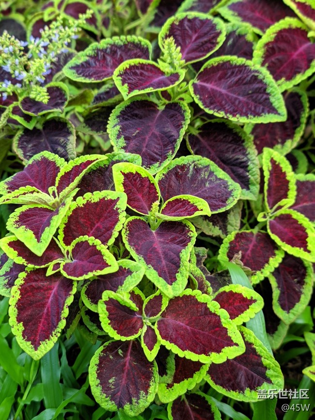 【捕捉身邊的美】自然的魅力