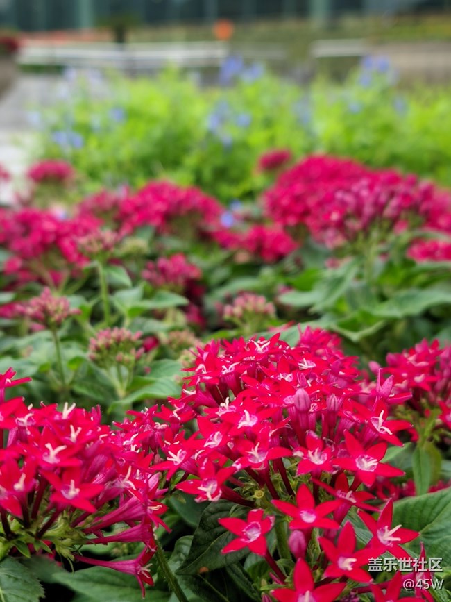 【捕捉身邊的美】自然的魅力