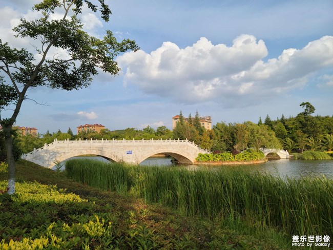 《精品大咖秀》 第十一期：抓住夏天的尾巴