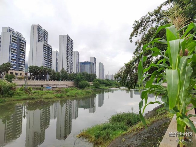 #我喜歡的攝影模式——平常的拍攝