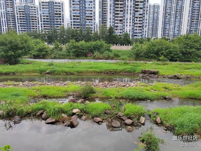 #我喜歡的攝影模式——平常的拍攝