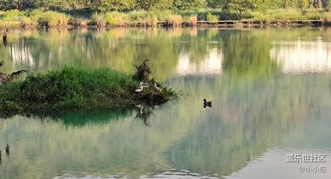 【那年初秋】清晨