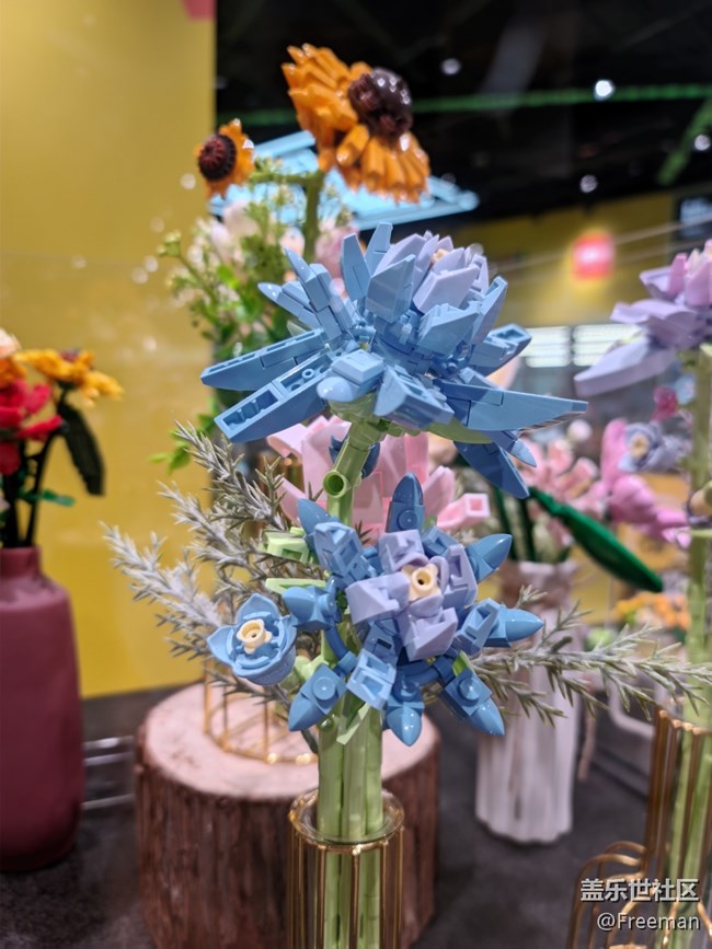 【尋一份美好】愛的花朵