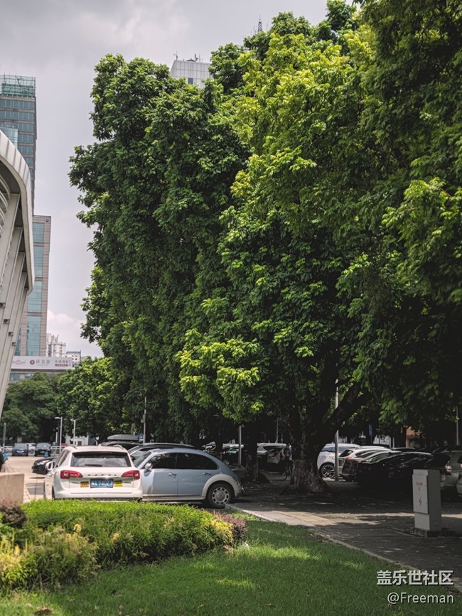 【那年初秋】珍惜當(dāng)下 | 感受美好