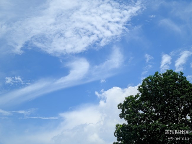 【捕捉夏日美好】沐浴陽光下