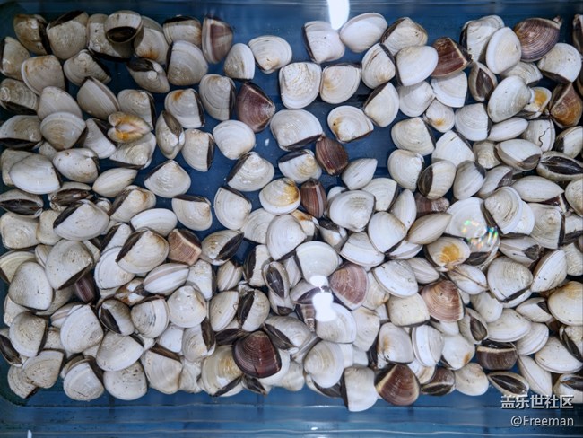 【假日美食】七夕 | 美食刊