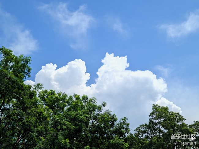 【捕捉夏日美好】沐浴陽光下