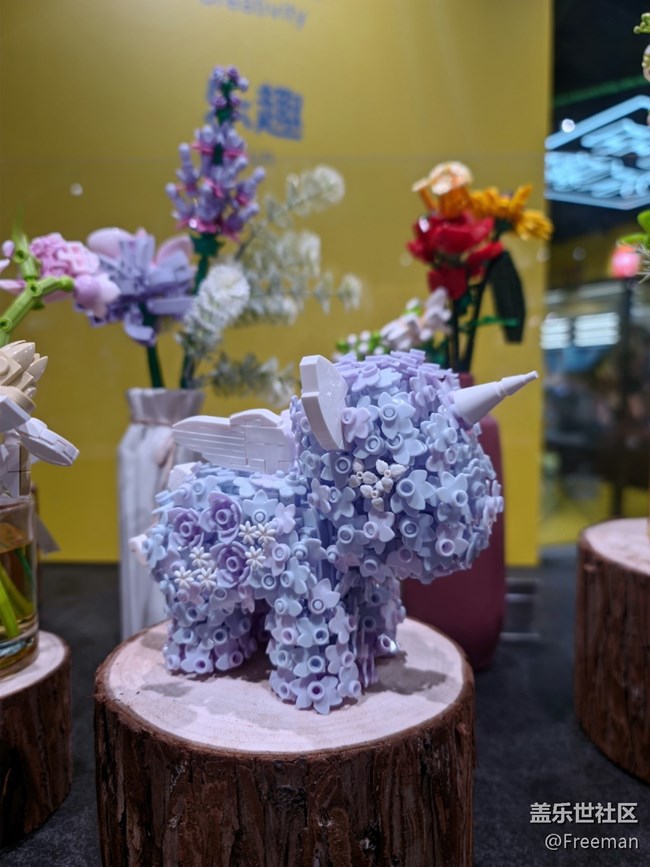 【尋一份美好】愛的花朵